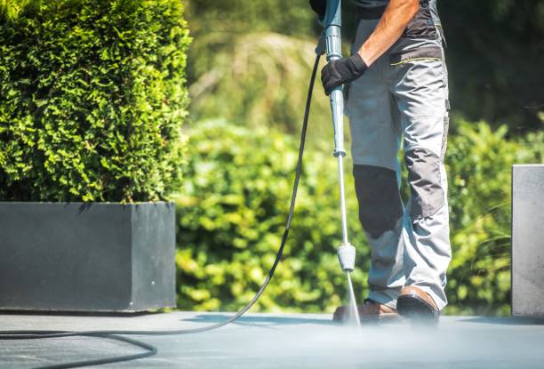Best Sidewalk and Walkway Cleaning  in Forest Heights, TX